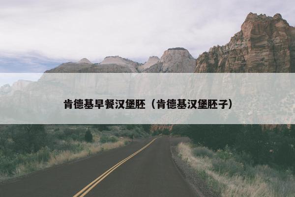 肯德基早餐汉堡胚（肯德基汉堡胚子）