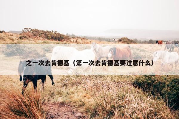 之一次去肯德基（第一次去肯德基要注意什么）