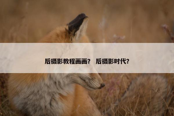 后摄影教程画画？ 后摄影时代？