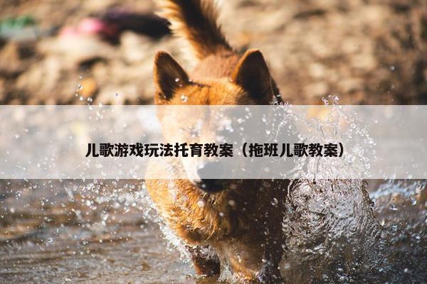 儿歌游戏玩法托育教案（拖班儿歌教案）