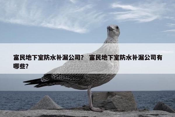 富民地下室防水补漏公司？ 富民地下室防水补漏公司有哪些？