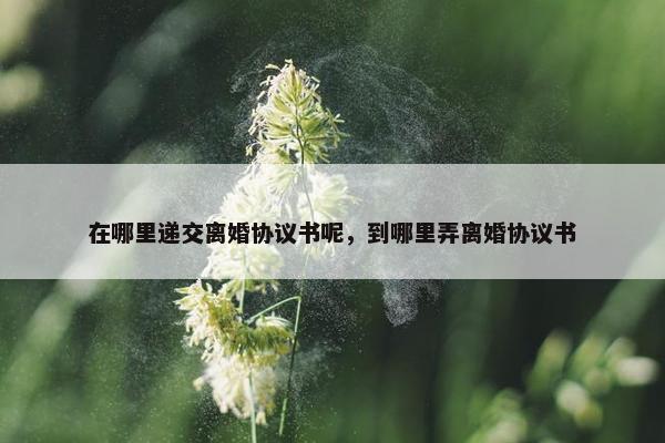 在哪里递交离婚协议书呢，到哪里弄离婚协议书