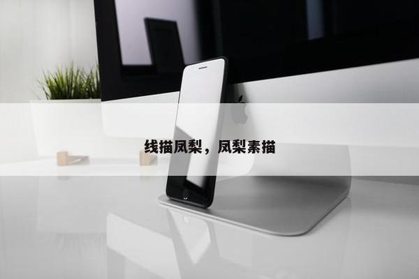 线描凤梨，凤梨素描