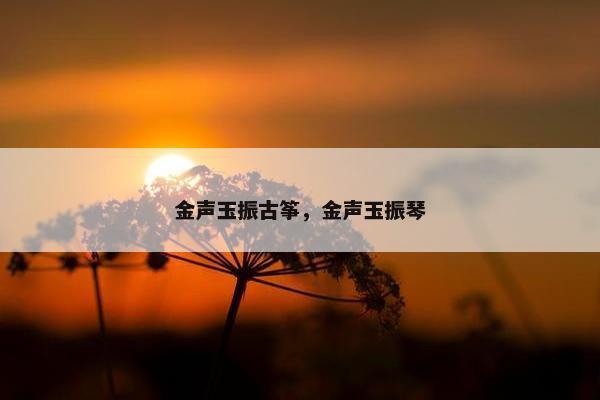 金声玉振古筝，金声玉振琴