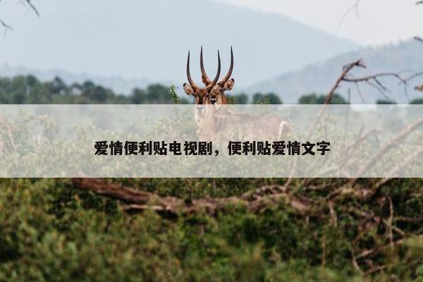 爱情便利贴电视剧，便利贴爱情文字
