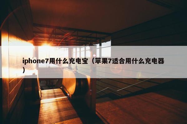 iphone7用什么充电宝（苹果7适合用什么充电器）