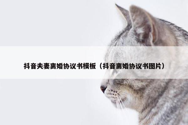 抖音夫妻离婚协议书模板（抖音离婚协议书图片）