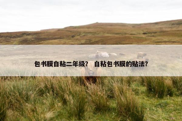 包书膜自粘二年级？ 自粘包书膜的贴法？