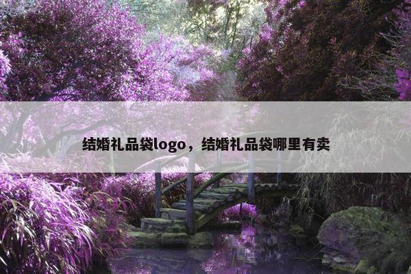 结婚礼品袋logo，结婚礼品袋哪里有卖