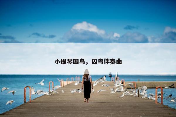 小提琴囚鸟，囚鸟伴奏曲