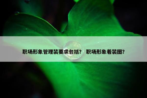 职场形象管理装要求包括？ 职场形象着装图？