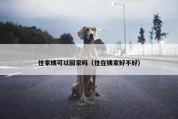住家姨可以回家吗（住在姨家好不好）