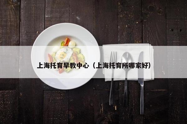 上海托育早教中心（上海托育所哪家好）