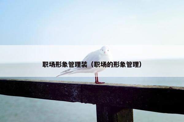 职场形象管理装（职场的形象管理）