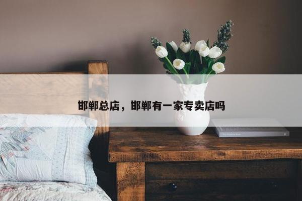 邯郸总店，邯郸有一家专卖店吗