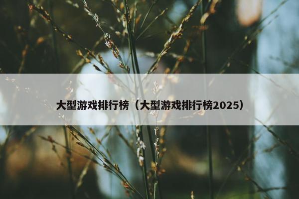 大型游戏排行榜（大型游戏排行榜2025）