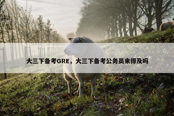 大三下备考GRE，大三下备考公务员来得及吗