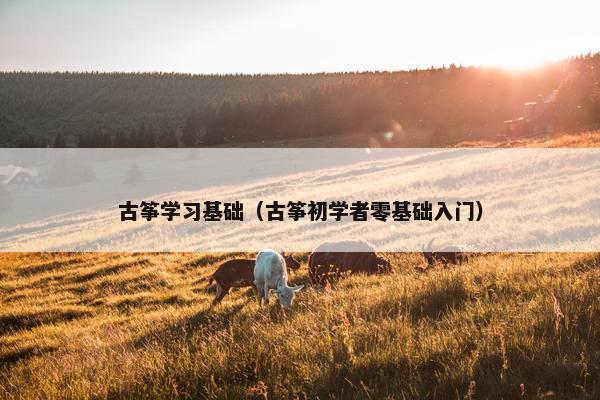 古筝学习基础（古筝初学者零基础入门）