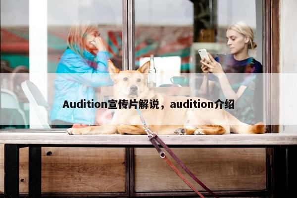 Audition宣传片解说，audition介绍