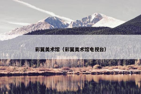 彩翼美术馆（彩翼美术馆电视台）