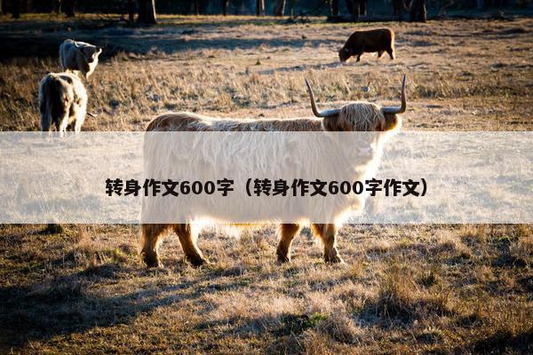 转身作文600字（转身作文600字作文）