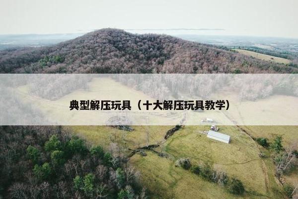 典型解压玩具（十大解压玩具教学）