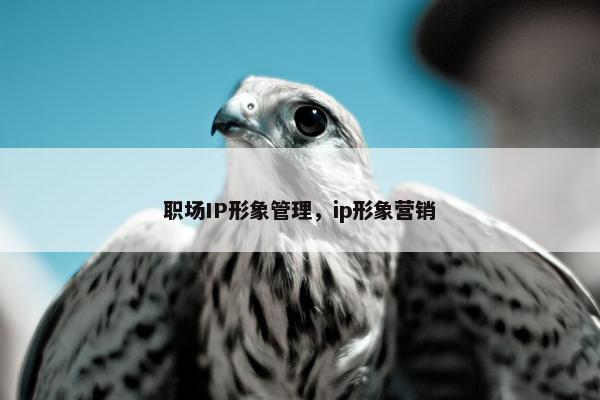 职场IP形象管理，ip形象营销