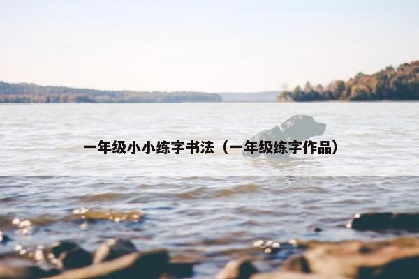 一年级小小练字书法（一年级练字作品）