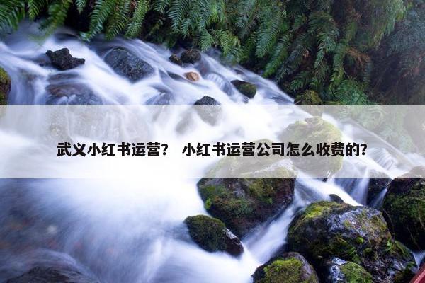 武义小红书运营？ 小红书运营公司怎么收费的？