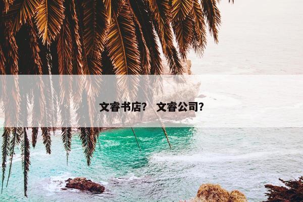 文睿书店？ 文睿公司？