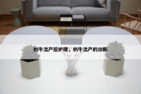 奶牛流产后护理，奶牛流产的诊断