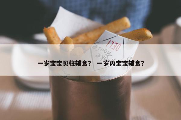一岁宝宝贝柱辅食？ 一岁内宝宝辅食？