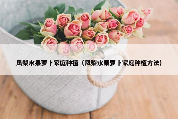 凤梨水果萝卜家庭种植（凤梨水果萝卜家庭种植方法）