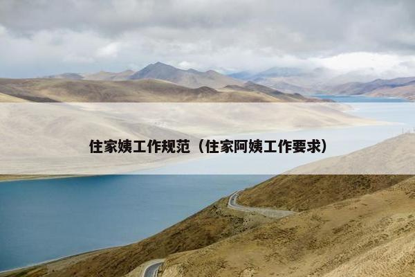 住家姨工作规范（住家阿姨工作要求）