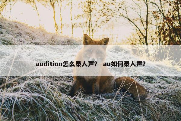 audition怎么录人声？ au如何录人声？