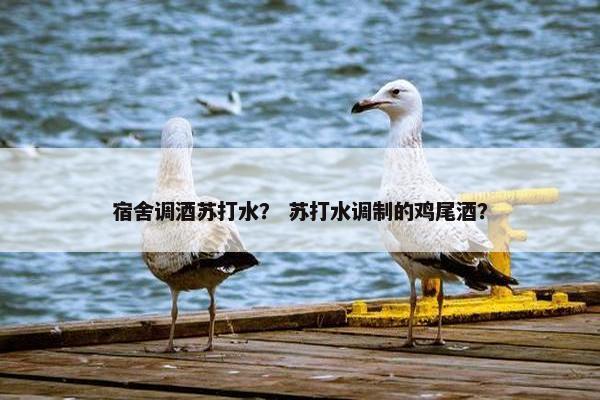 宿舍调酒苏打水？ 苏打水调制的鸡尾酒？