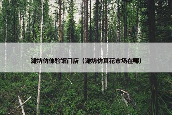 潍坊仿体验馆门店（潍坊仿真花市场在哪）