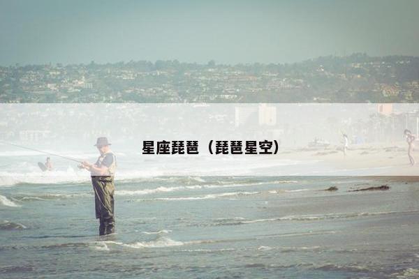 星座琵琶（琵琶星空）
