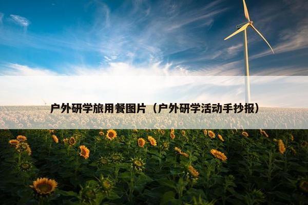 户外研学旅用餐图片（户外研学活动手抄报）