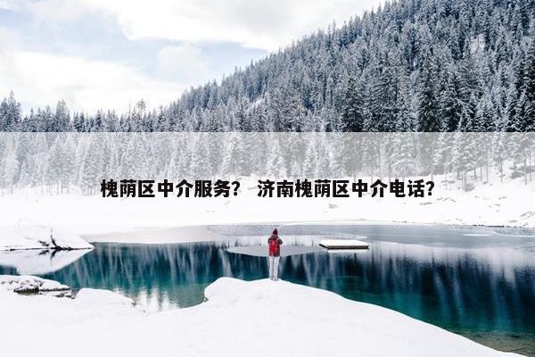 槐荫区中介服务？ 济南槐荫区中介电话？
