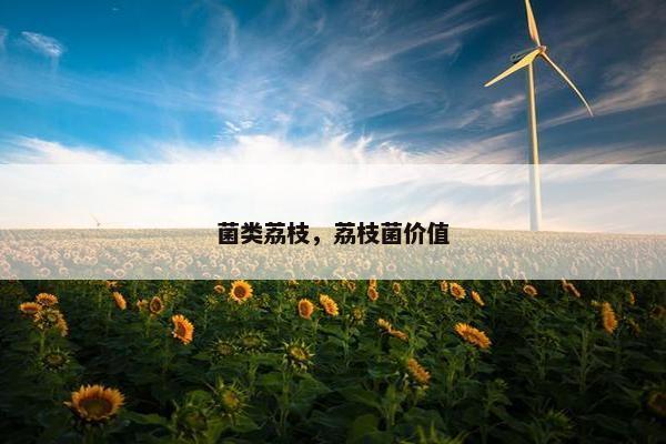 菌类荔枝，荔枝菌价值