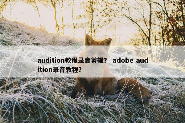 audition教程录音剪辑？ adobe audition录音教程？