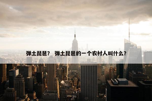 弹土琵琶？ 弹土琵琶的一个农村人叫什么？