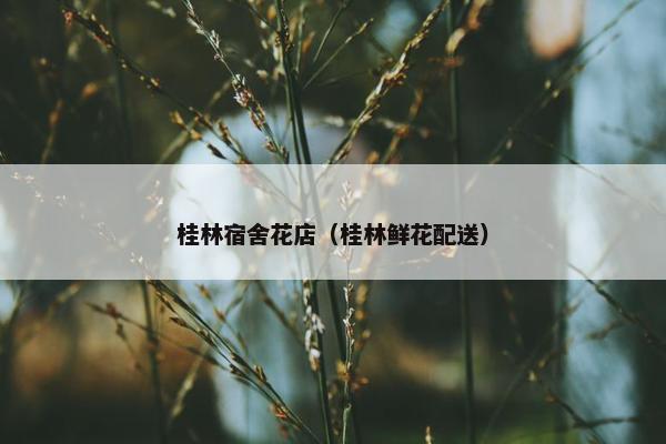 桂林宿舍花店（桂林鲜花配送）