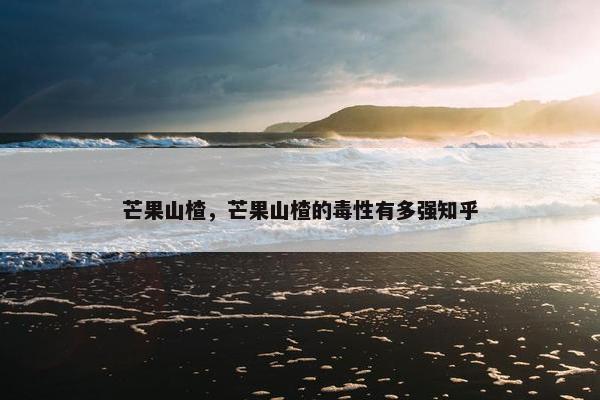 芒果山楂，芒果山楂的毒性有多强知乎