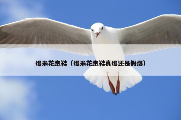 爆米花跑鞋（爆米花跑鞋真爆还是假爆）