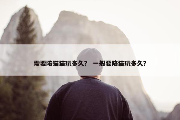 需要陪猫猫玩多久？ 一般要陪猫玩多久？