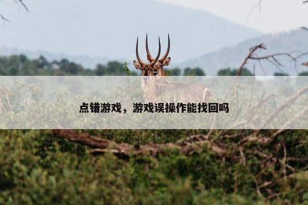 点错游戏，游戏误操作能找回吗