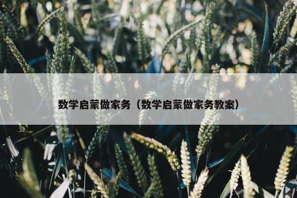 数学启蒙做家务（数学启蒙做家务教案）