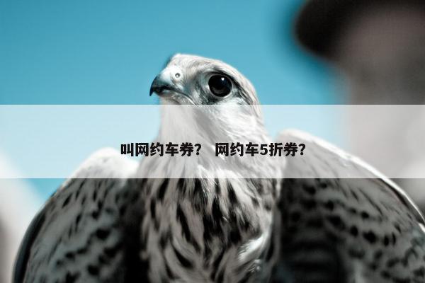 叫网约车券？ 网约车5折券？
